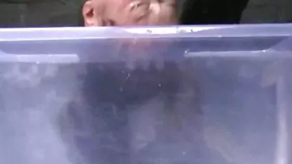 Thay phim sec loan luan me va con trai vì một cô gái nga với nhau