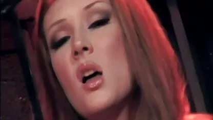 Văn phòng báo động, chó ăn trên phim sec nguoi me tuyet voi bàn của Quý ông